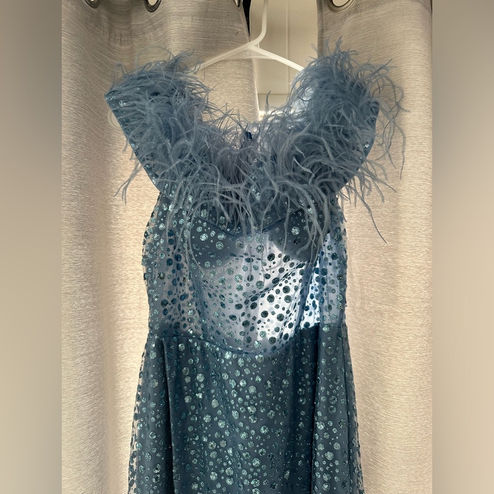 Cinderella Divine - Size 16